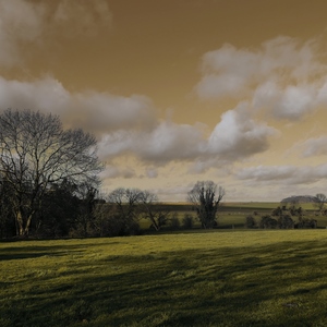 prairies et arbres sur un ciel menaçant - Belgique  - collection de photos clin d'oeil, catégorie paysages